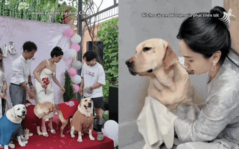 Nữ CEO tổ chức đám cưới cho chó cưng, tự nhận là "mẹ chồng", dành hẳn 1 phòng điều hòa cho "con dâu"- Ảnh 1.