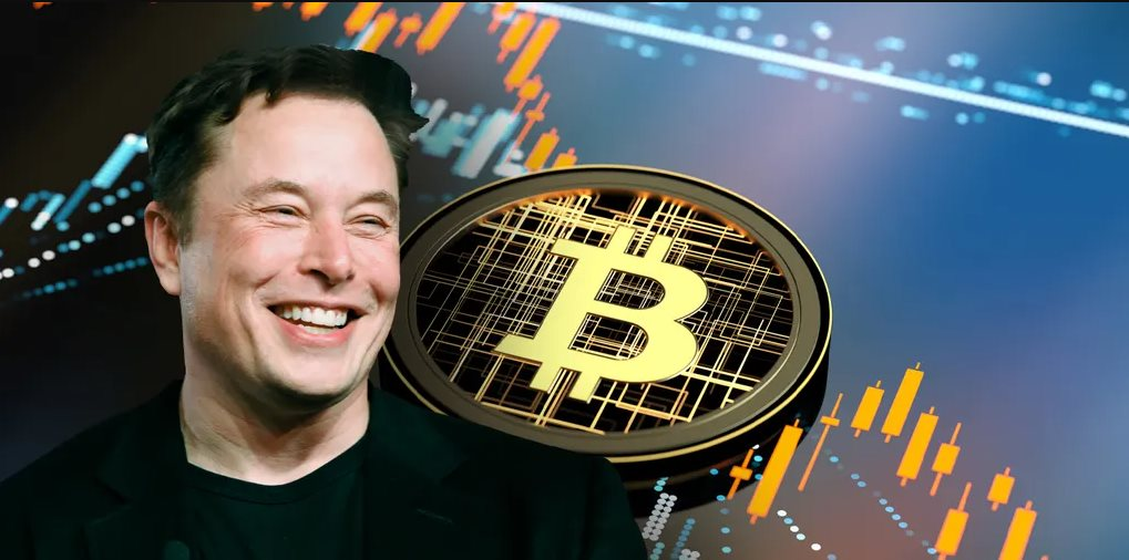 Mặc kệ xe điện, Elon Musk tham vọng xây dựng ‘chính phủ blockchain’, tiếp cận hệ thống 5 nghìn tỷ USD, muốn Bộ tài chính Mỹ dùng công nghệ trong tiền số- Ảnh 3.