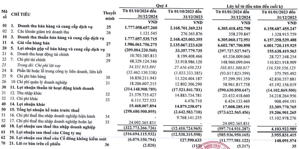 Lộ diện doanh nghiệp thua lỗ nặng nhất ngành thép năm 2024, ôm loạt cổ phiếu VND, DGC- Ảnh 1.