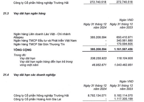 HAGL Agrico tiếp tục 'chỉ còn xương' như lời bầu Đức: 4 năm liền lỗ khủng nâng lỗ lũy kế gần 10.000 tỷ đồng, vay hơn 9.000 tỷ từ công ty của tỷ phú Trần Bá Dương- Ảnh 2.