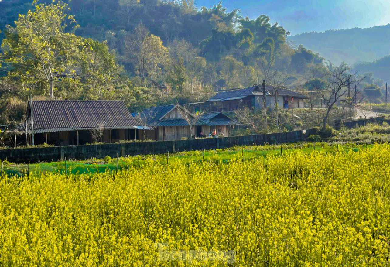 Những điểm du xuân đẹp nhất Tây Bắc ngay lúc này- Ảnh 27. Những điểm du xuân đẹp nhất Tây Bắc ngay lúc này- Ảnh 27.