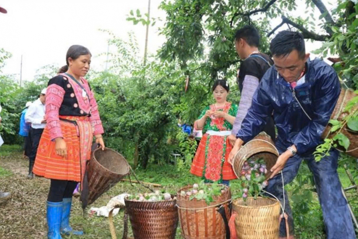 Cao tốc Hoà Bình – Mộc Châu dự kiến khởi công vào tháng 7/2025- Ảnh 3.