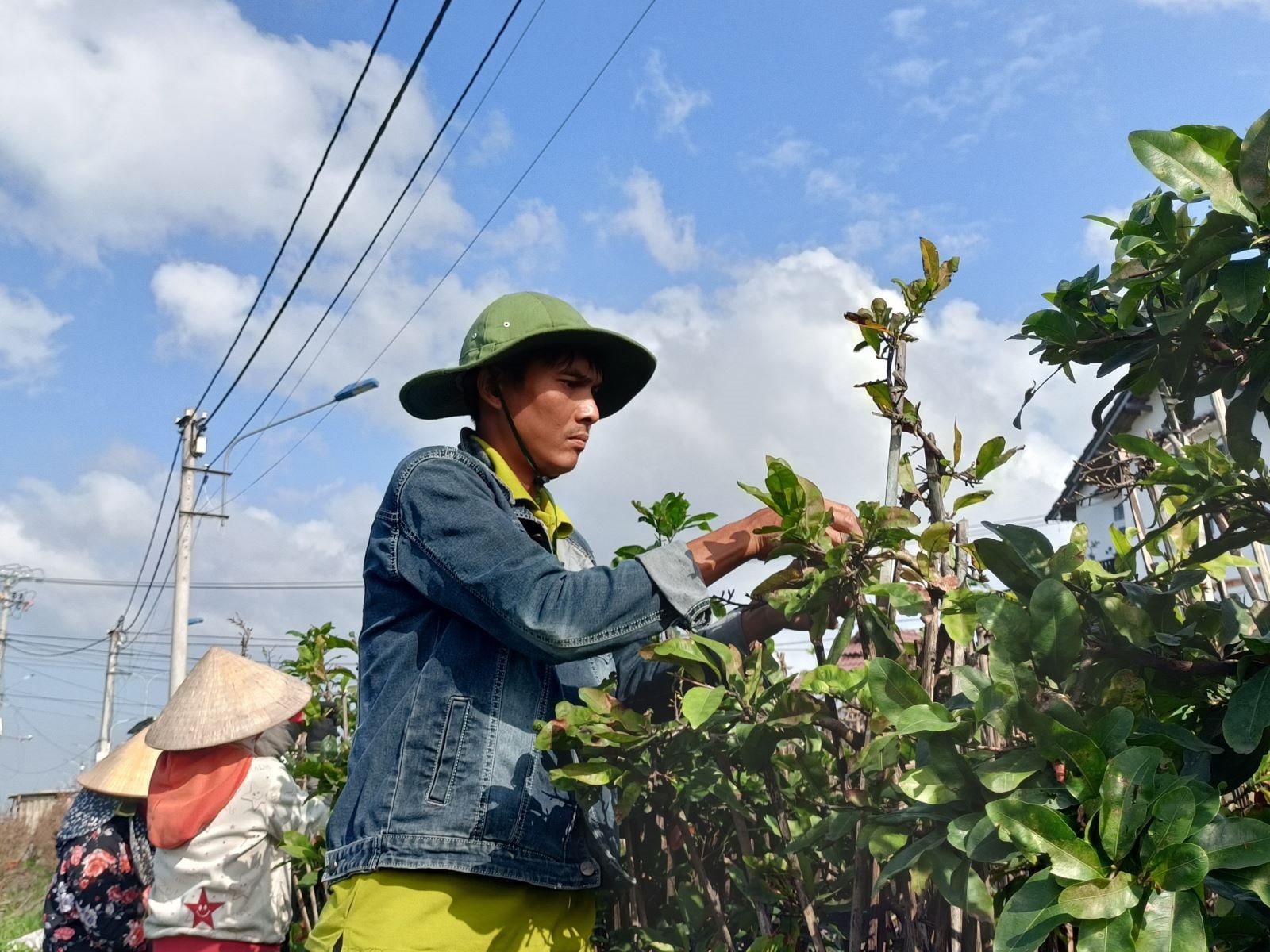 Bán đặc sản Tết miền Nam, người dân một thị xã thu hơn 155 tỷ đồng- Ảnh 1.