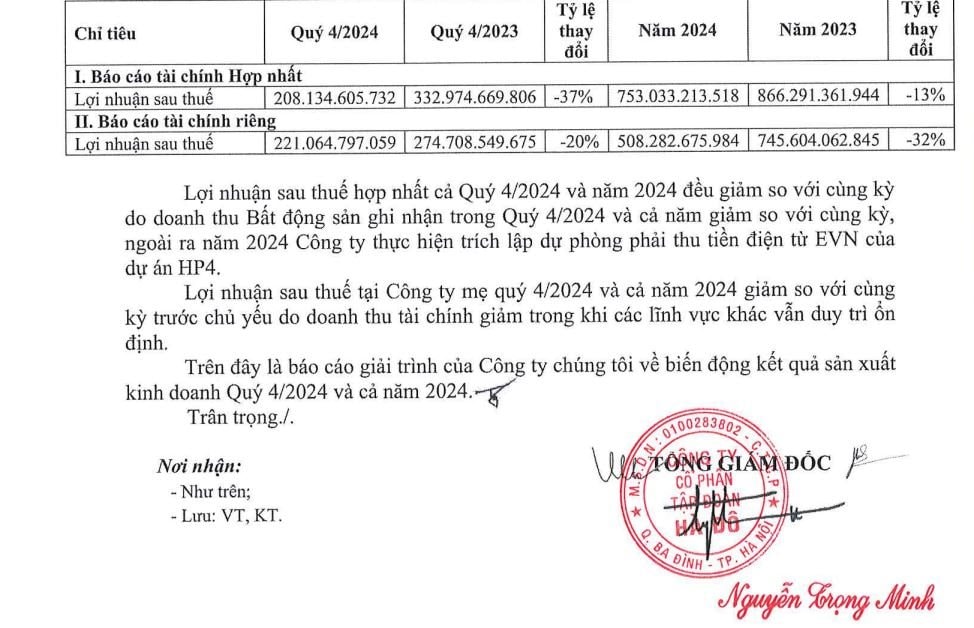 Doanh thu bán bất động sản giảm và dự phòng trả tiền điện kéo lùi lợi nhuận của Tập đoàn Hà Đô- Ảnh 3.