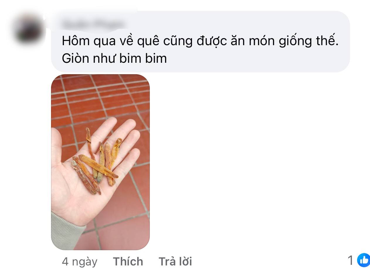 Bát mì tôm dọn tủ có giá vài triệu đồng của dân Quảng Ninh: Chẳng có thịt mấy mà ai xem xong cũng "xin vía"- Ảnh 11.