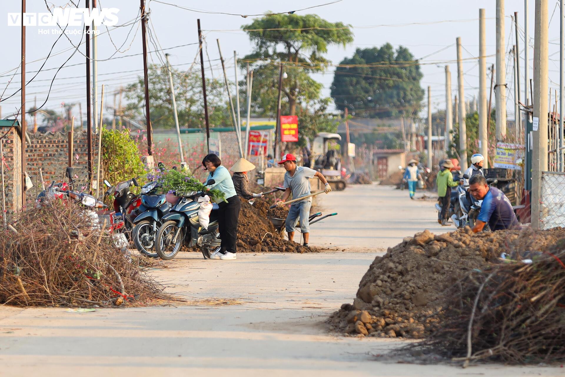 Đào Nhật Tân từ phố về vườn, chờ 'hồi sinh' cho Tết năm sau- Ảnh 1.