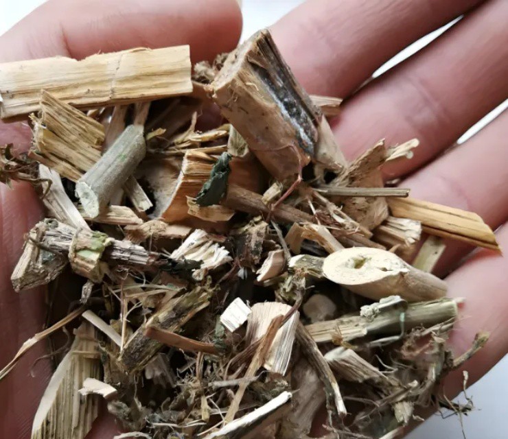 Cỏ dại mọc đầy ở làng quê Việt, phơi khô đem lên phố bán hốt bạc mỏi tay- Ảnh 2.