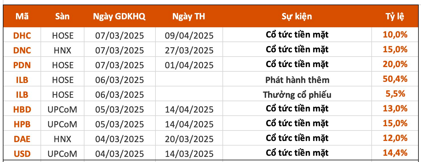 Lịch chốt quyền cổ tức tuần 3/3-7/3: Cổ tức tiền mặt cao nhất 20%- Ảnh 1.