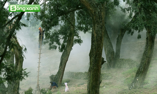 "Mỏ kho báu" vô giá của Trung Quốc: Trải rộng 400km2 ở dãy núi thiêng, LHQ kêu gọi bảo vệ nghiêm ngặt- Ảnh 2.