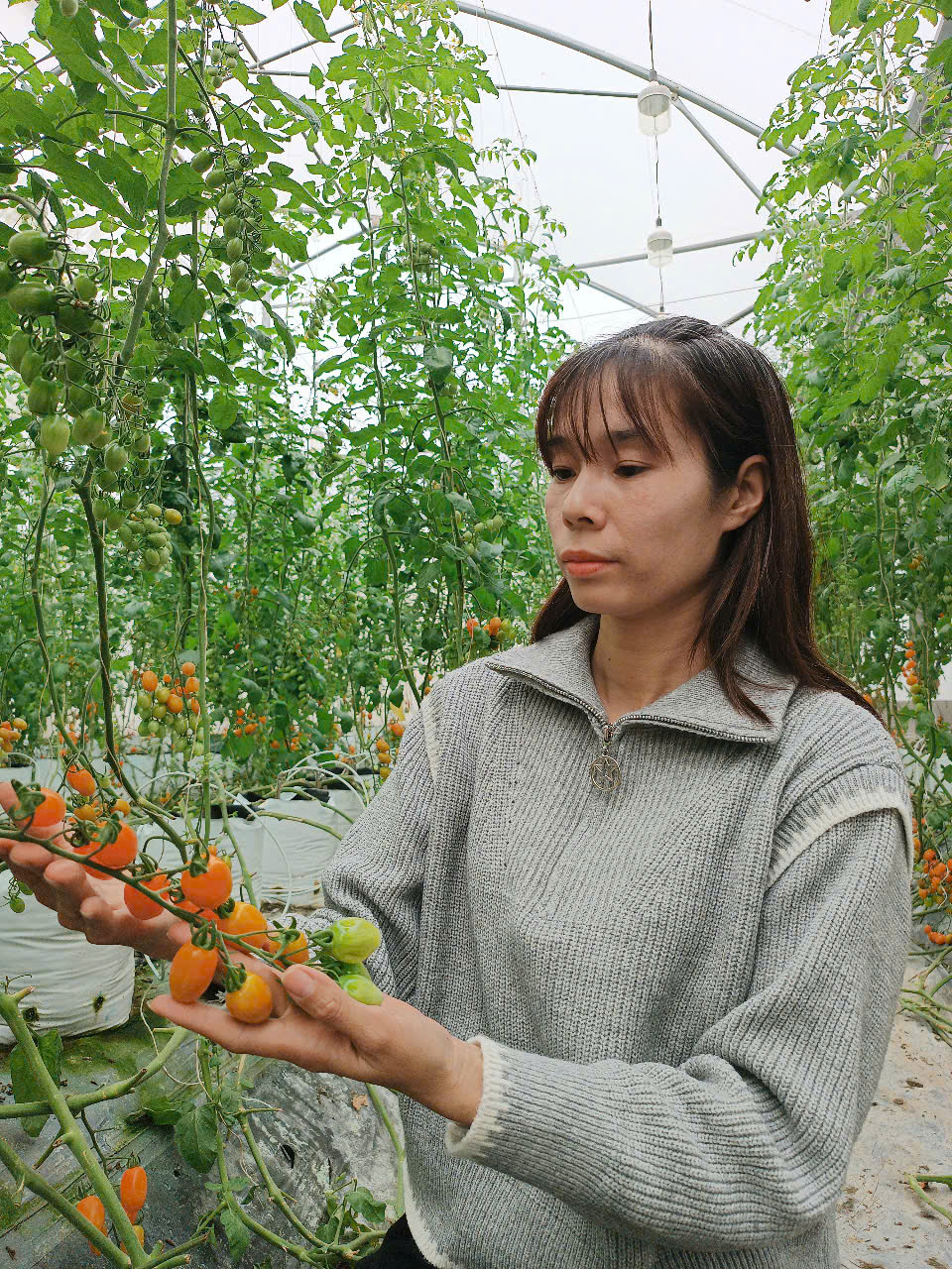 Nữ nhân viên văn phòng nghỉ việc về làm một thứ: Đất ruộng hóa 'vàng xanh', cơ ngơi 'phình ra' hơn 6 lần- Ảnh 1.