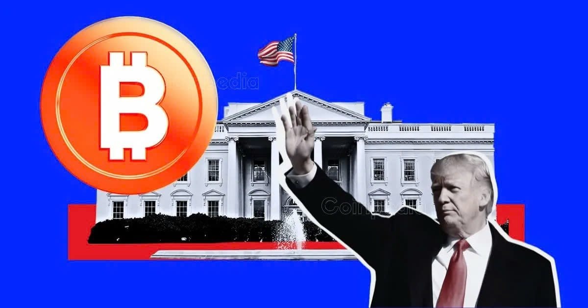 Ông Trump thành lập Quỹ Dự trữ Bitcoin chiến lược, vì sao giá lại rơi thẳng đứng?- Ảnh 1.