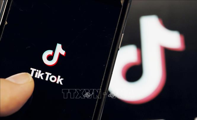 Tổng thống Mỹ: 4 tập đoàn muốn mua TikTok- Ảnh 1.