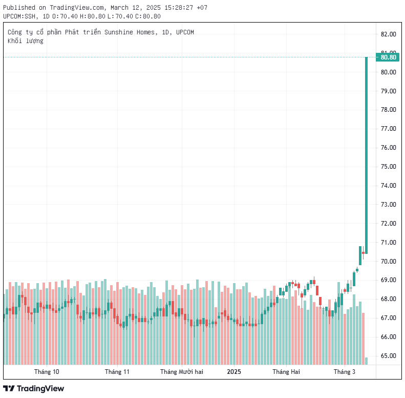 2 cổ phiếu nhà Sunshine tăng kịch trần, tài sản của Chủ tịch Đỗ Anh Tuấn tăng thêm gần 3.400 tỷ trong ngày- Ảnh 1.