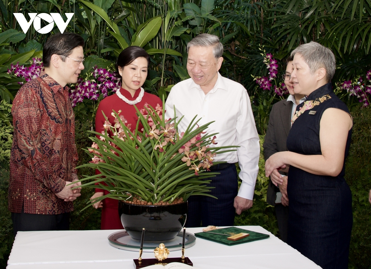 Singapore lấy tên Tổng Bí thư Tô Lâm và Phu nhân đặt cho loài hoa lan mới- Ảnh 1.