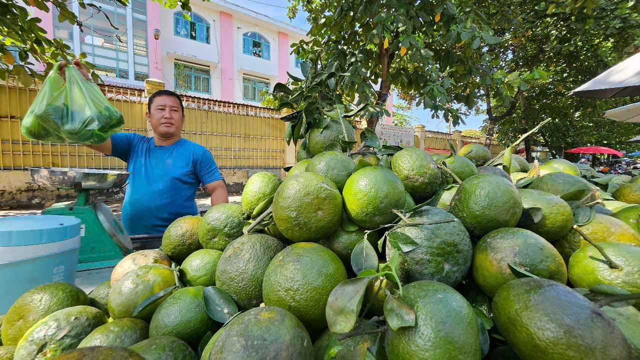 Cam sành được "giải cứu" tại TP HCM- Ảnh 2.