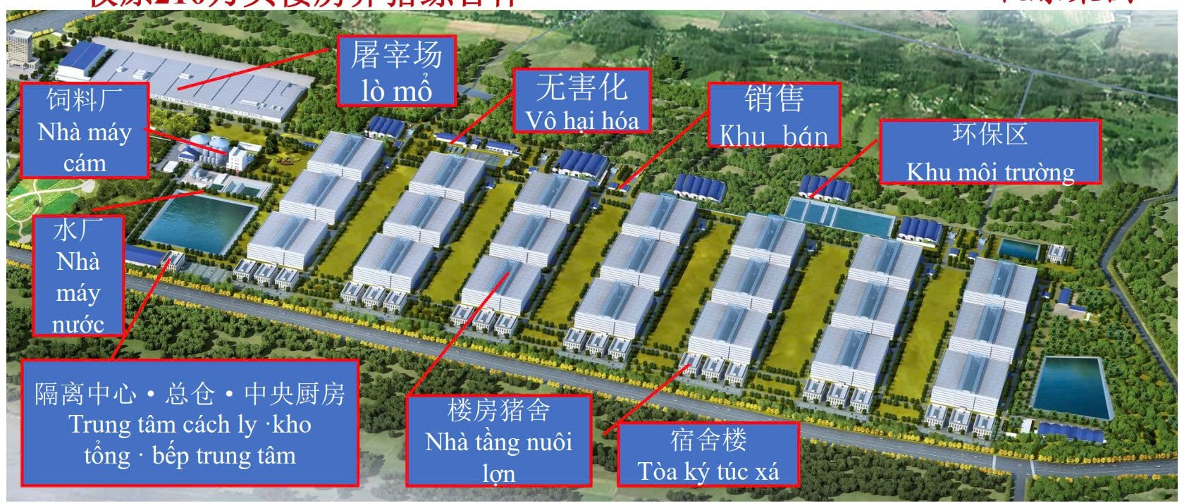 BAF nói về “chung cư nuôi heo” đầu tiên tại Việt Nam: Để tạo ra 100.000 heo/năm chỉ cần 95 nhân công, diện tích đất 6,7ha - tiết kiệm được 10 lần- Ảnh 1.