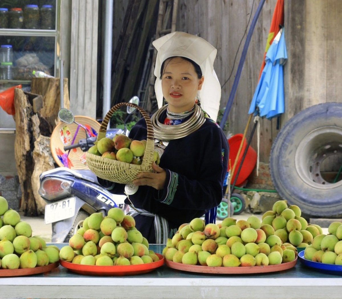 Loại quả giúp người dân huyện nghèo nhất cả nước có thu nhập “khủng”, được ví là thuốc trường sinh- Ảnh 1.