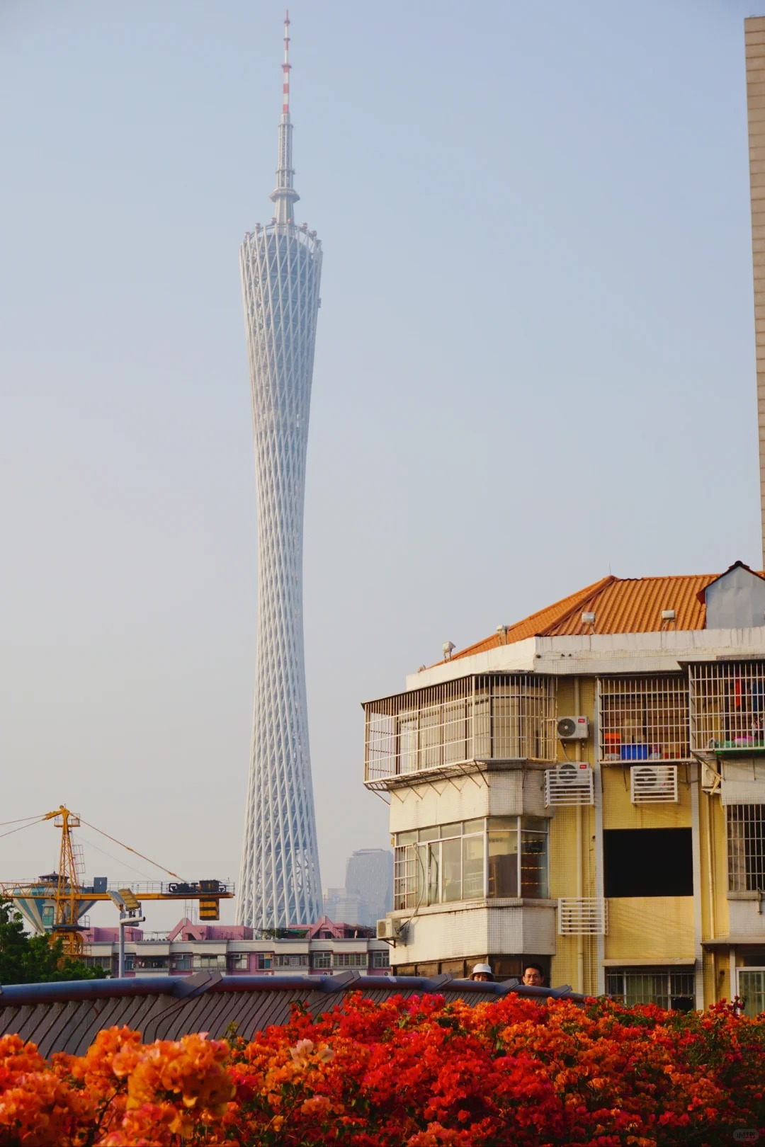 Nhiều người đi du lịch Trung Quốc thường check-in ở những nơi có hoa giấy: Thì ra là có lý do cả- Ảnh 21.