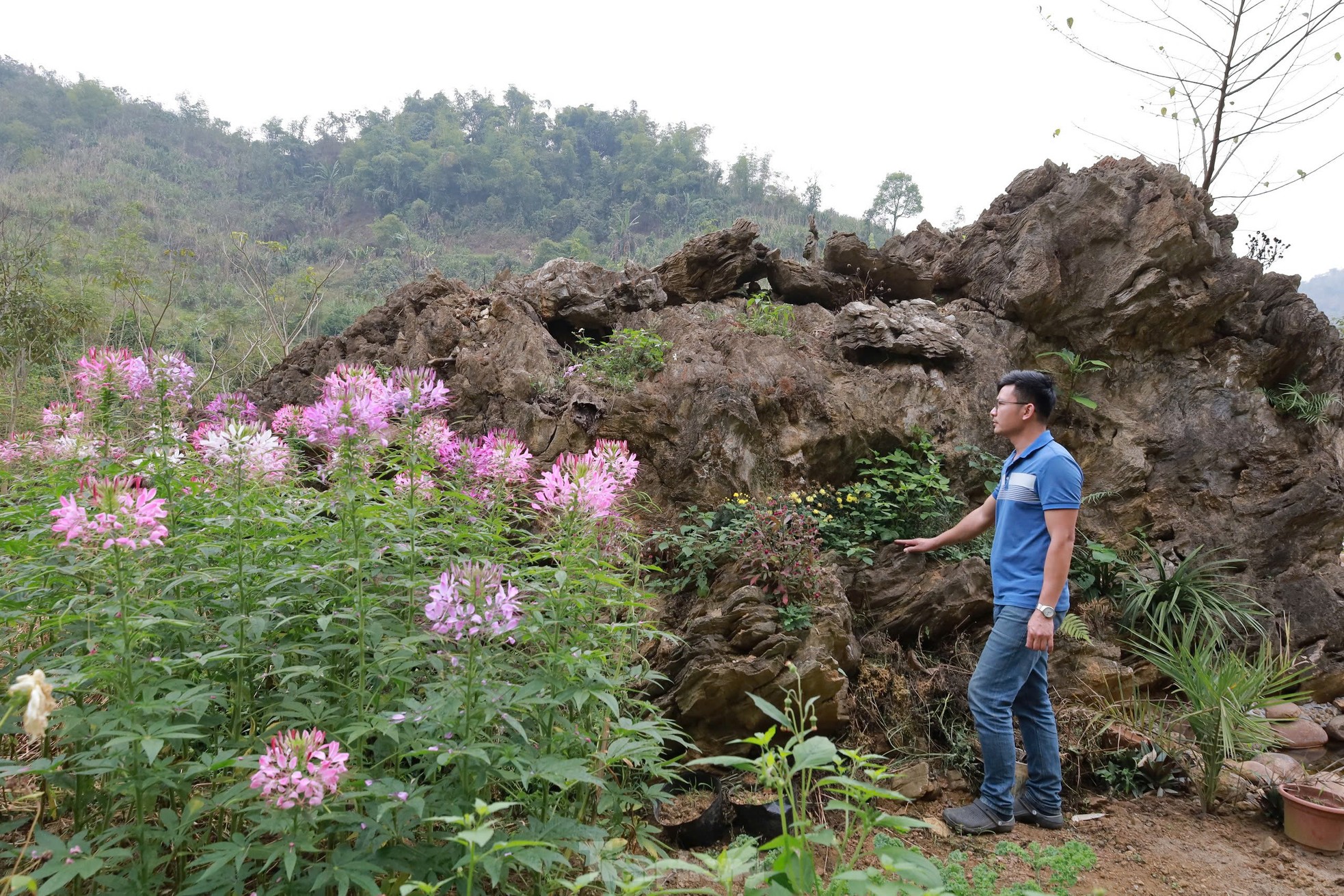 Chiêm ngưỡng khối đá giống gốc cây khổng lồ hóa thạch, được trả giá đến 18 tỷ đồng- Ảnh 3.