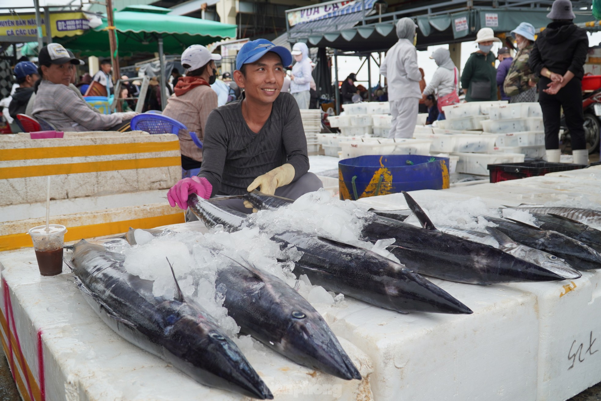 Ngư dân đánh bắt được cá 'khủng' phải vài người khiêng lên bờ- Ảnh 21.