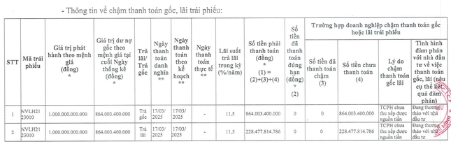 Hành động của con trai ông Bùi Thành Nhơn giữa lúc Novaland nợ đầm đìa- Ảnh 2.