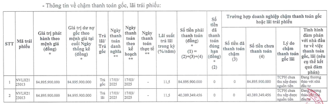 Hành động của con trai ông Bùi Thành Nhơn giữa lúc Novaland nợ đầm đìa- Ảnh 3.