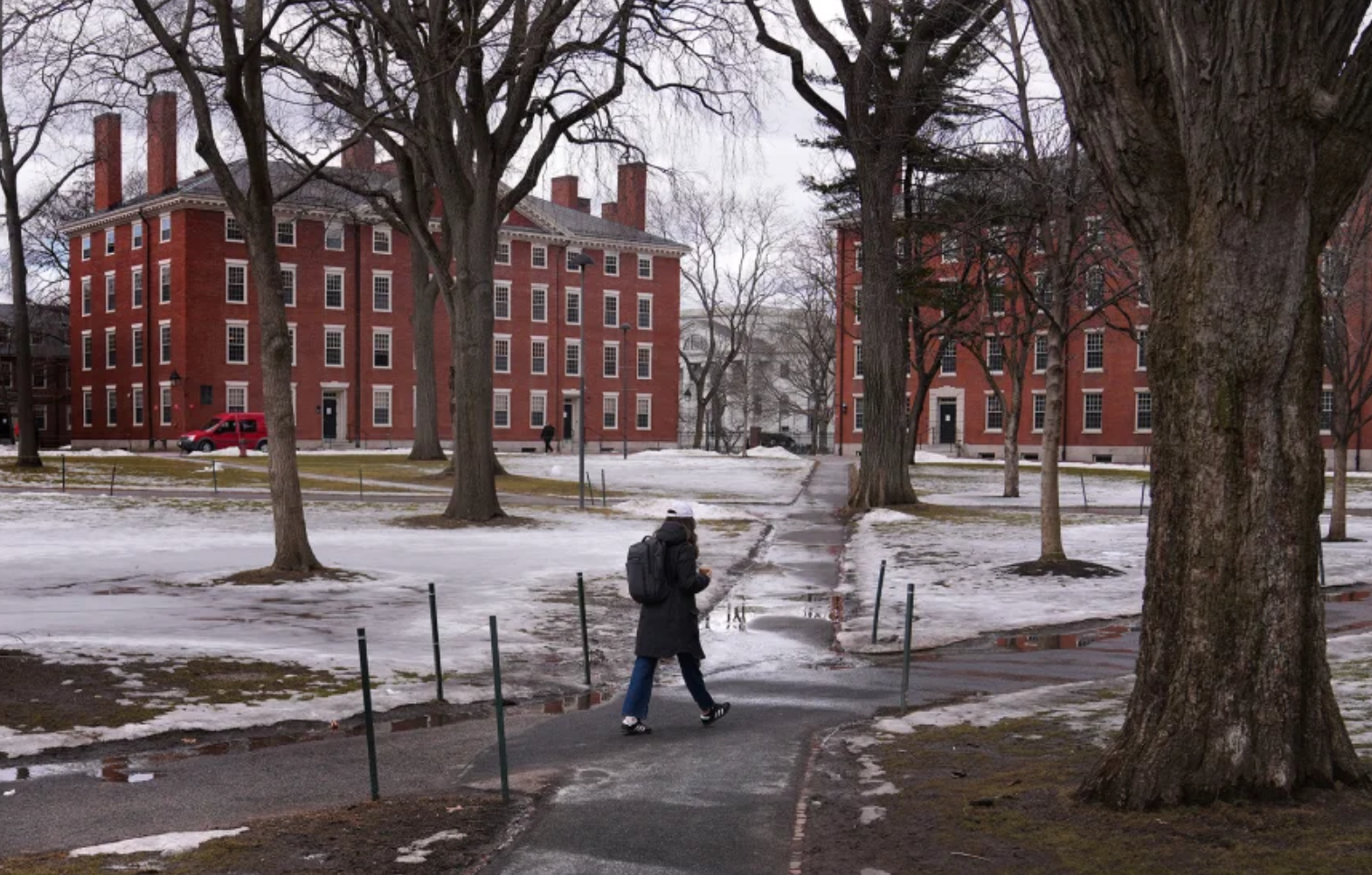 Nóng: Đại học Harvard sẽ miễn học phí cho sinh viên từ gia đình thu nhập dưới 5 tỷ đồng/năm- Ảnh 1.