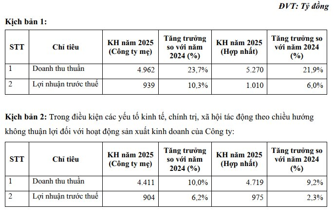 Vicostone trình kế hoạch trả cổ tức bằng tiền tỷ lệ 40% cho năm 2024, lợi nhuận 2025 có thể trở về mốc 1.000 tỷ- Ảnh 1.