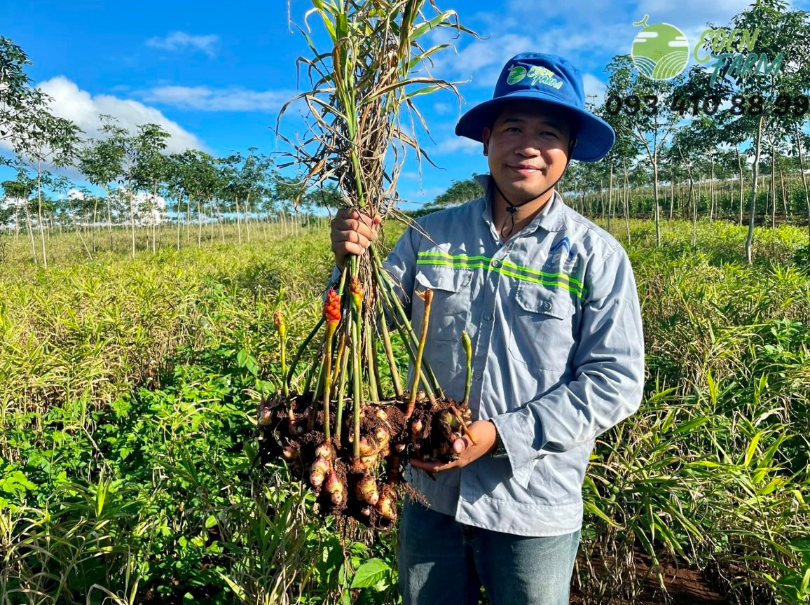 Việt Nam được kỳ vọng Top 1 nông nghiệp bền vững toàn ASEAN, dân cơ khí, mỏ than... khởi nghiệp làm nông kiếm hàng chục tỷ- Ảnh 2.