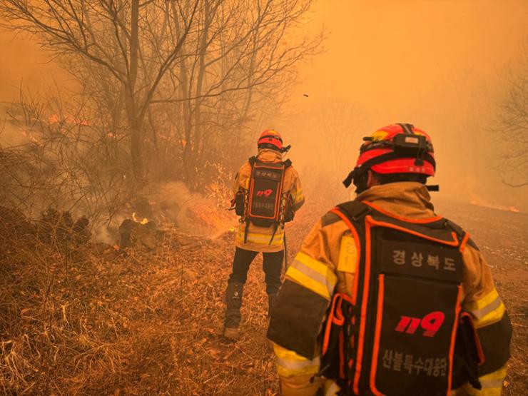 Cháy rừng kinh hoàng ở Hàn Quốc: “Cây thiêng” 900 năm tuổi bị thiêu rụi hoàn toàn, hiện trường tan hoang đến thảm thương- Ảnh 4. Cháy rừng kinh hoàng ở Hàn Quốc: “Cây thiêng” 900 năm tuổi bị thiêu rụi hoàn toàn, hiện trường tan hoang đến thảm thương- Ảnh 4.