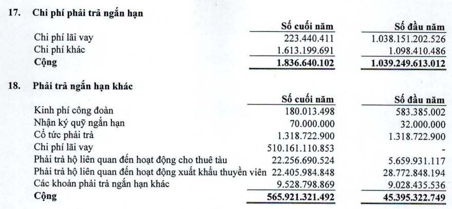 Công ty vận tải biển đột ngột lãi khủng, EPS gần 60.000 đồng, giá cổ phiếu chỉ 8.500 đồng - Ảnh 3.