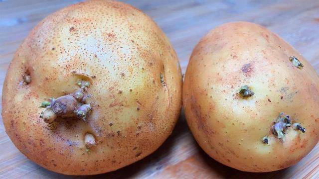 3 món ăn để lâu trong tủ lạnh chính là “thủ phạm” gây ung thư dạ dày!- Ảnh 2.