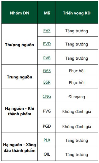 Loạt "siêu dự án" ngoài khơi của Việt Nam tăng tốc, các “đại gia” dầu khí kỳ vọng hưởng lợi lớn- Ảnh 5.