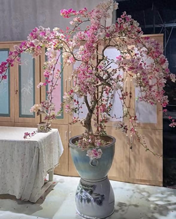 Bức ảnh chụp vu vơ nhưng lại gây bão mạng, dân tình thốt lên: Bức ảnh chụp vu vơ nhưng lại gây bão mạng, dân tình thốt lên: