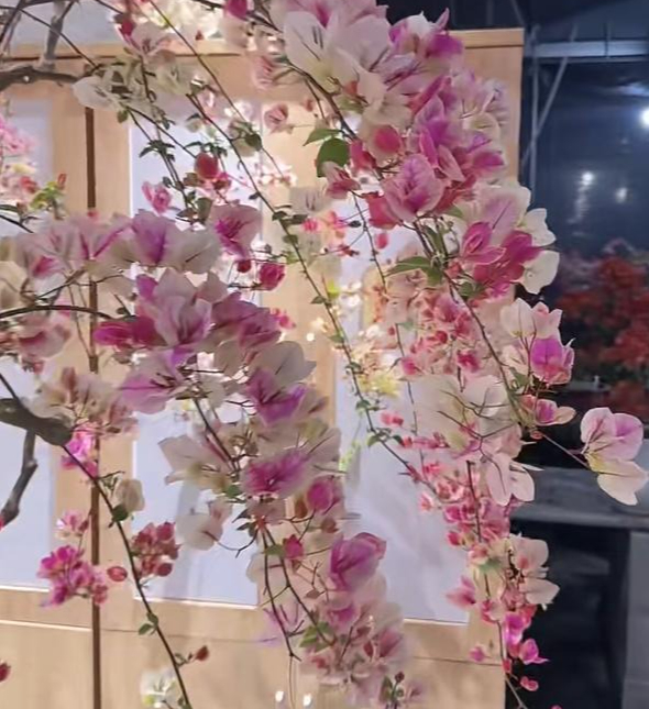 Bức ảnh chụp vu vơ nhưng lại gây bão mạng, dân tình thốt lên: Bức ảnh chụp vu vơ nhưng lại gây bão mạng, dân tình thốt lên: