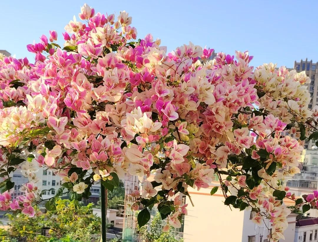 Bức ảnh chụp vu vơ nhưng lại gây bão mạng, dân tình thốt lên: Bức ảnh chụp vu vơ nhưng lại gây bão mạng, dân tình thốt lên: