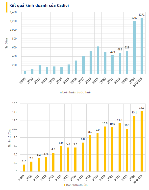 Cadivi chốt kế hoạch lợi nhuận 2025 tăng gấp đôi lên 1.271 tỷ, ra mắt 2 dòng sản phẩm dây điện Không chì và Chậm cháy- Ảnh 1.