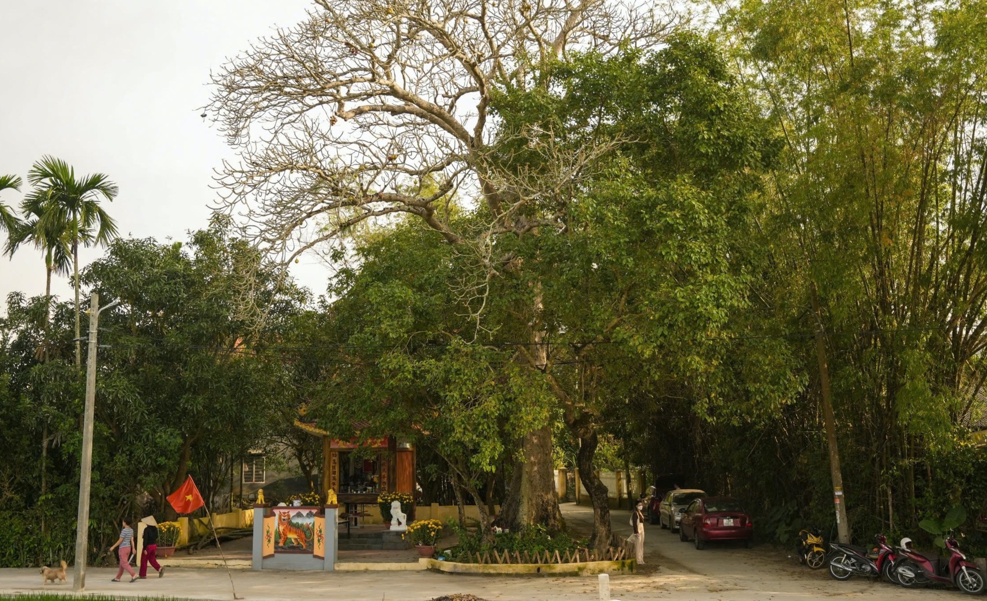 Nét đẹp cổ kính, nguyên sơ của làng cổ trăm tuổi- Ảnh 2. Nét đẹp cổ kính, nguyên sơ của làng cổ trăm tuổi- Ảnh 2.