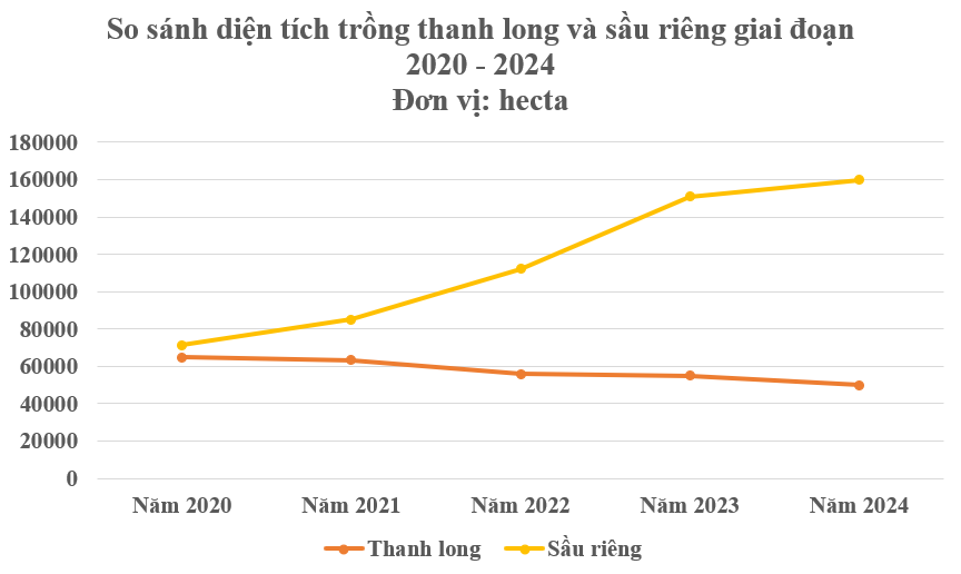 Vị thế trái ngược của 2 loại trái cây ‘bạc tỷ’ Việt Nam- Ảnh 2.