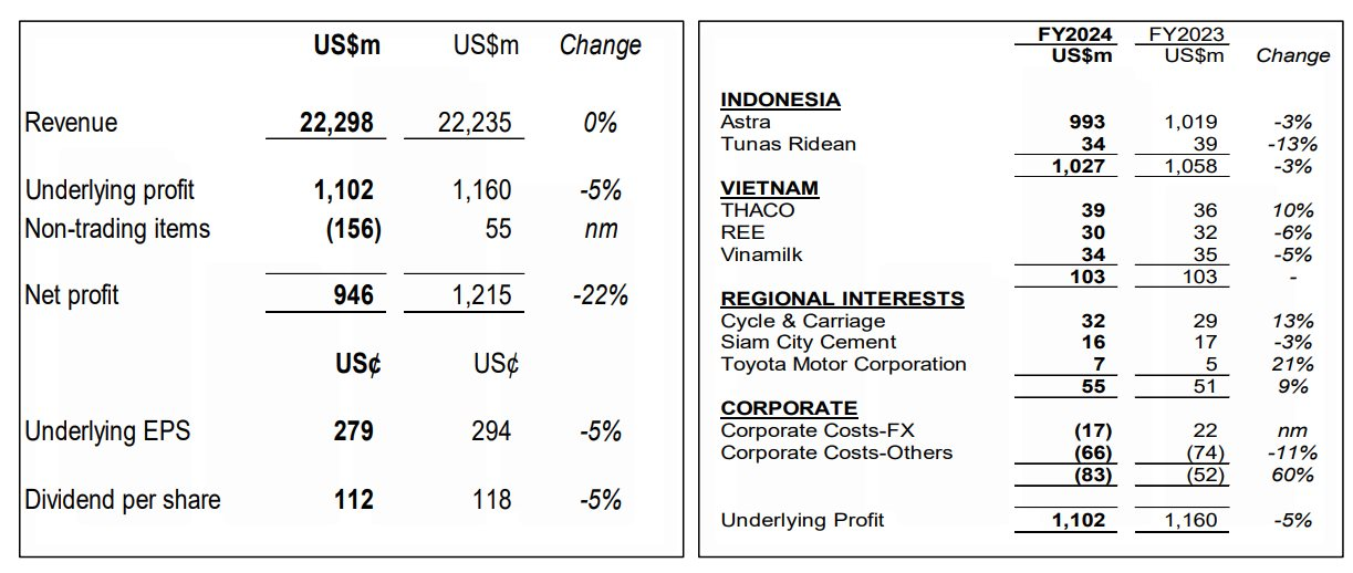 Tập đoàn chi hàng tỷ USD vào Việt Nam báo lãi năm 2024 đi lùi: Thaco tỏa sáng 'cứu' lợi nhuận, bù đắp cho sự hụt hơi của REE và Vinamilk- Ảnh 1.