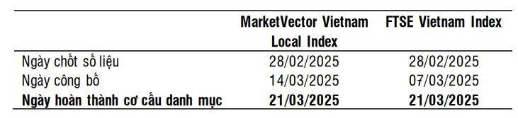 SSI Research: Quỹ ETF ngoại quy mô 10.000 tỷ có thể thêm mới Viettel Post cùng một cổ phiếu ngân hàng trong kỳ review quý 1/2025- Ảnh 1.