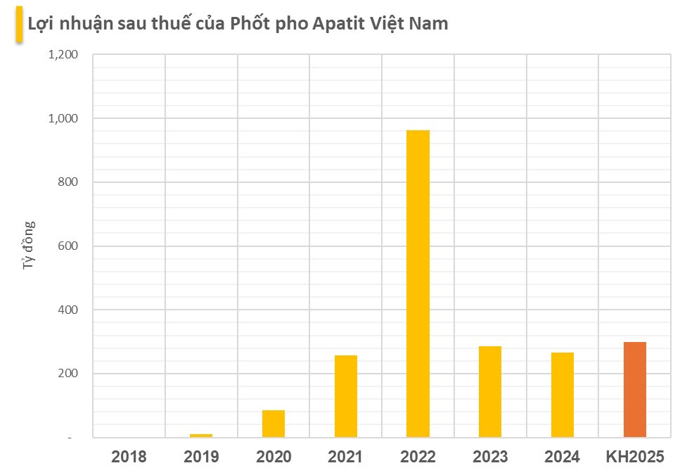 Công ty con của Hóa chất Đức Giang dự kiến nâng tỷ lệ trả cổ tức năm 2024 từ 70% lên 95%- Ảnh 1.