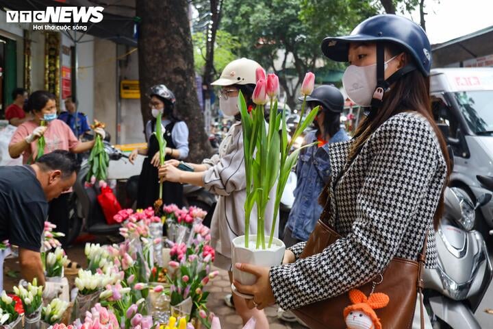 Khách hàng đổi 'gu', săn mua sen đá độc lạ dịp 8/3- Ảnh 23.