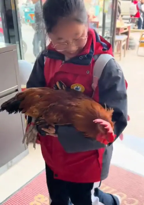 Tăng 35 hạng trong kỳ thi, cô bé về nhà nhưng ở cửa mãi không chịu vào, mẹ ra xem rồi giật mình khi thấy sinh vật trên tay em- Ảnh 2. Tăng 35 hạng trong kỳ thi, cô bé về nhà nhưng ở cửa mãi không chịu vào, mẹ ra xem rồi giật mình khi thấy sinh vật trên tay em- Ảnh 2.