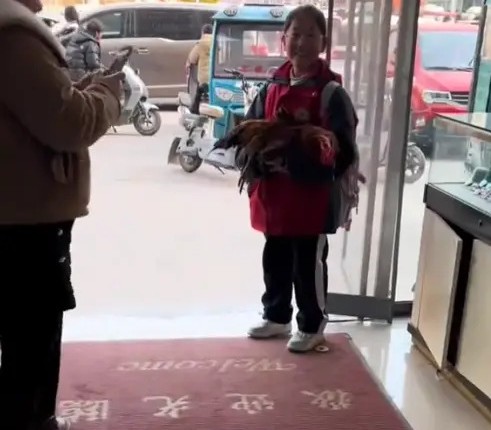 Tăng 35 hạng trong kỳ thi, cô bé về nhà nhưng ở cửa mãi không chịu vào, mẹ ra xem rồi giật mình khi thấy sinh vật trên tay em- Ảnh 1. Tăng 35 hạng trong kỳ thi, cô bé về nhà nhưng ở cửa mãi không chịu vào, mẹ ra xem rồi giật mình khi thấy sinh vật trên tay em- Ảnh 1.