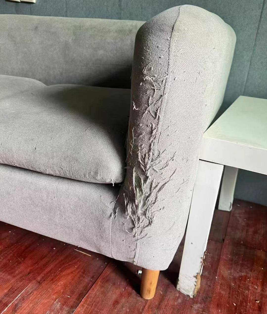 Tại sao nhiều người thà để trống nhà chứ không cho thuê? Người trong cuộc tiết lộ 5 điều "đau khổ"- Ảnh 1. Tại sao nhiều người thà để trống nhà chứ không cho thuê? Người trong cuộc tiết lộ 5 điều "đau khổ"- Ảnh 1.