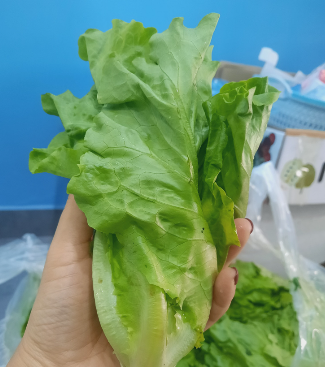 Thử thách 7 ngày detox bằng sinh tố rau củ: Cơ thể tôi có 3 thứ thay đổi rõ rệt, nhưng có 1 nhược điểm cần cân nhắc trước khi thực hiện- Ảnh 4.