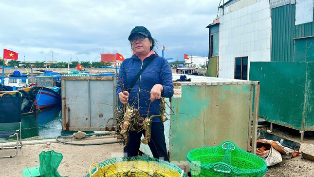 Hải sản 'nhà giàu' rớt giá thê thảm- Ảnh 2.