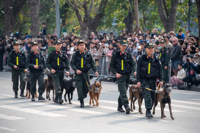 Người dân bất ngờ với những màn biểu diễn của kỵ binh, cảnh khuyển trên phố đi bộ hồ Gươm- Ảnh 16.