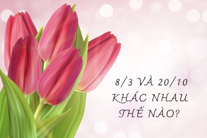 Ngày 8/3 và ngày 20/10 khác nhau thế nào?- Ảnh 2. Ngày 8/3 và ngày 20/10 khác nhau thế nào?- Ảnh 2.